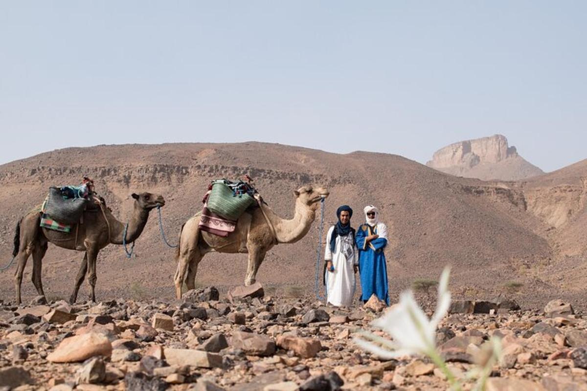 two people standing next to two camels in the desert