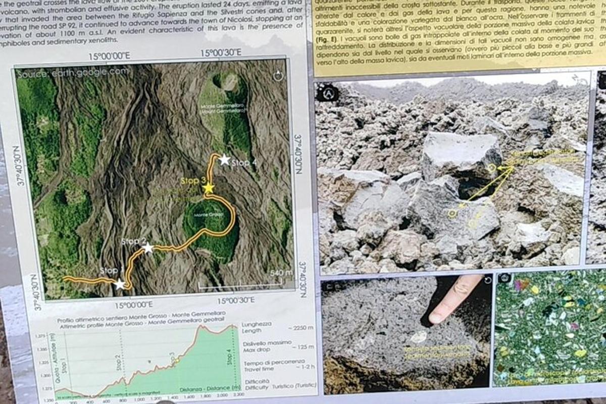 una página de un libro con un árbol y un mapa
