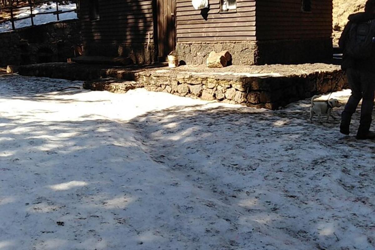una persona che porta a spasso un cane nella neve