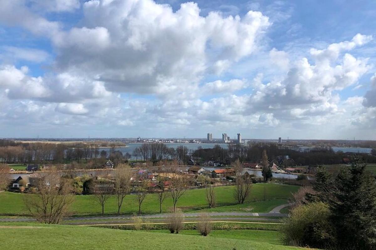 a view of a park with a city in the background