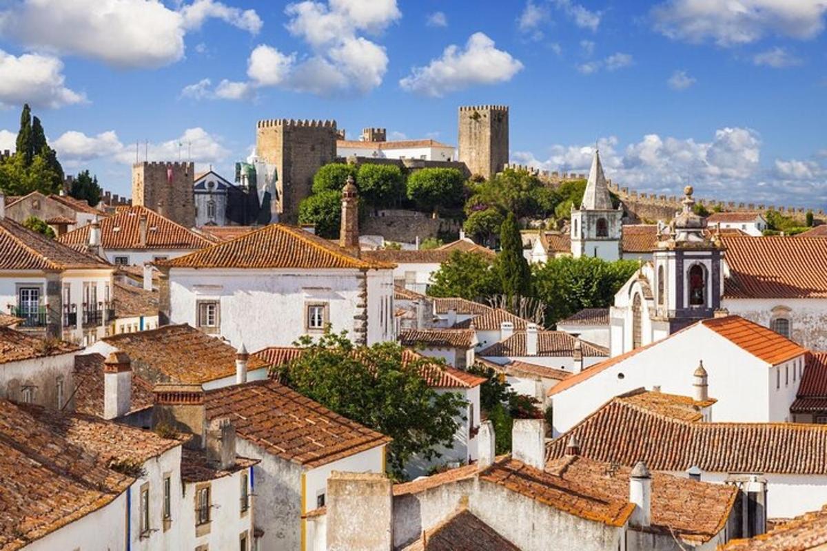 una vista d'una ciutat amb teulades i un castell
