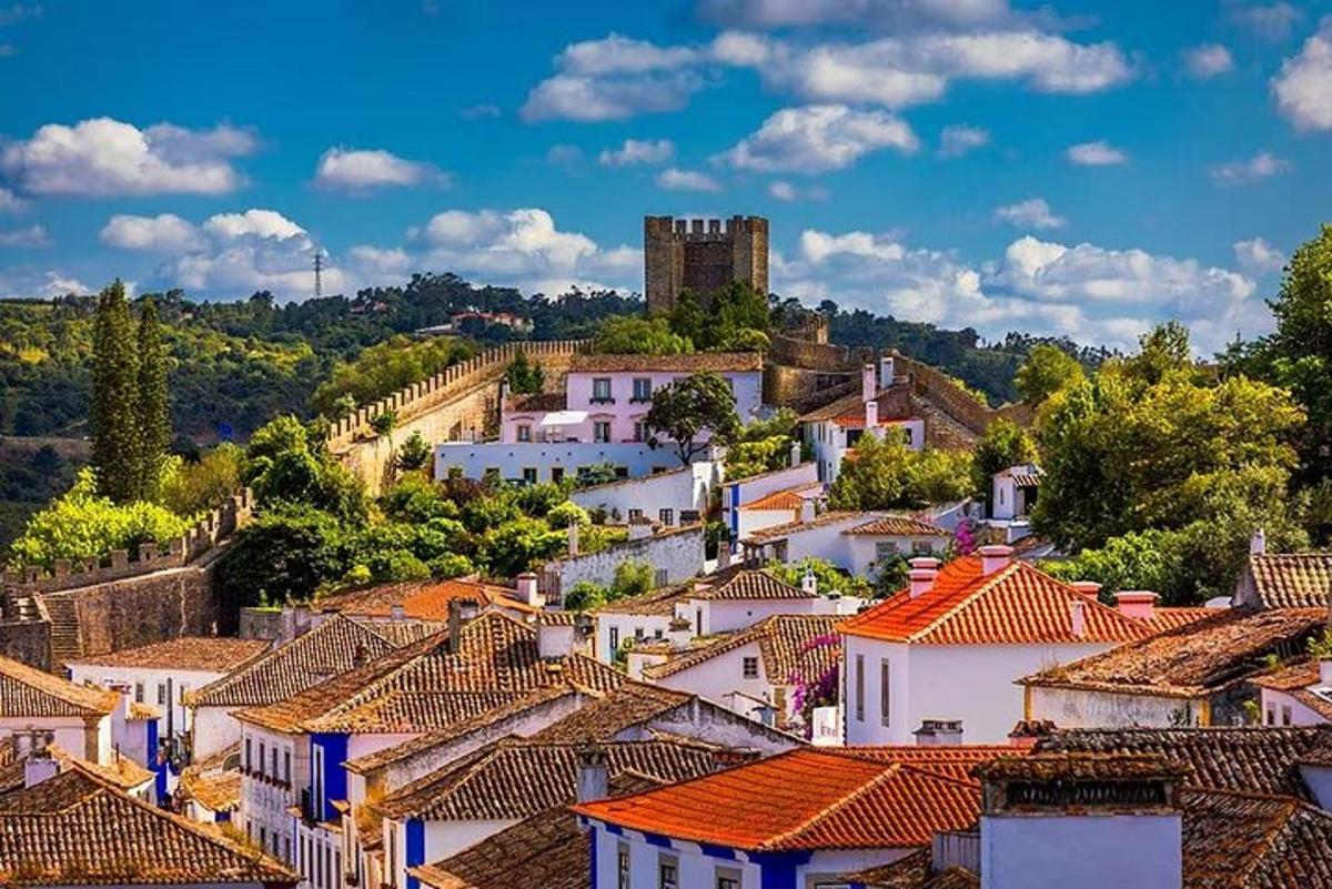 una vista d'un poble amb cases i un castell