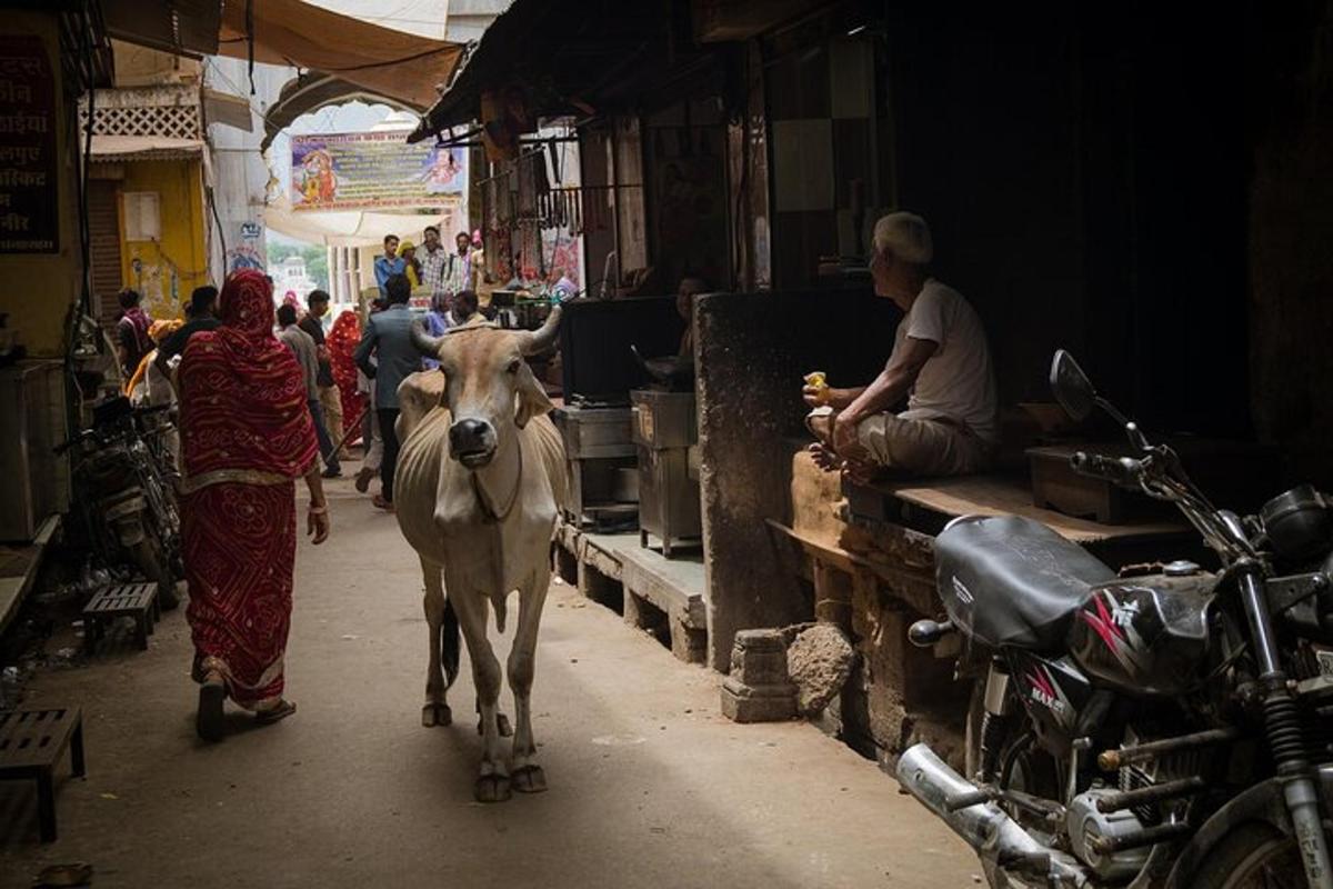 a cow walking down a street in a market