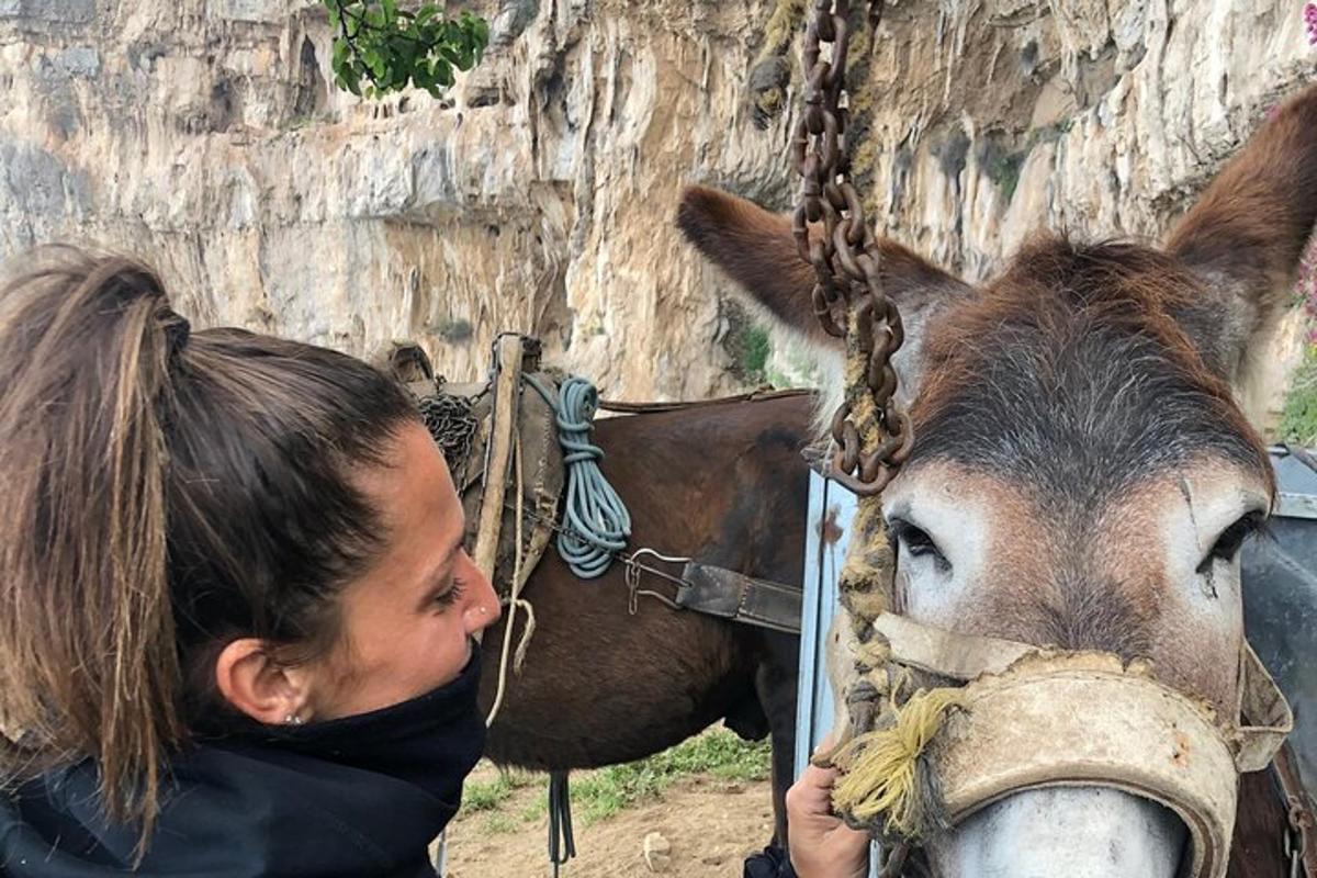 a woman is looking at a horse