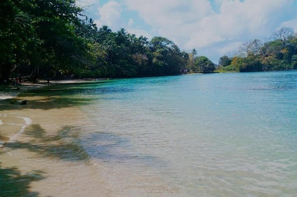 badan air besar dengan pepohonan di tepiannya