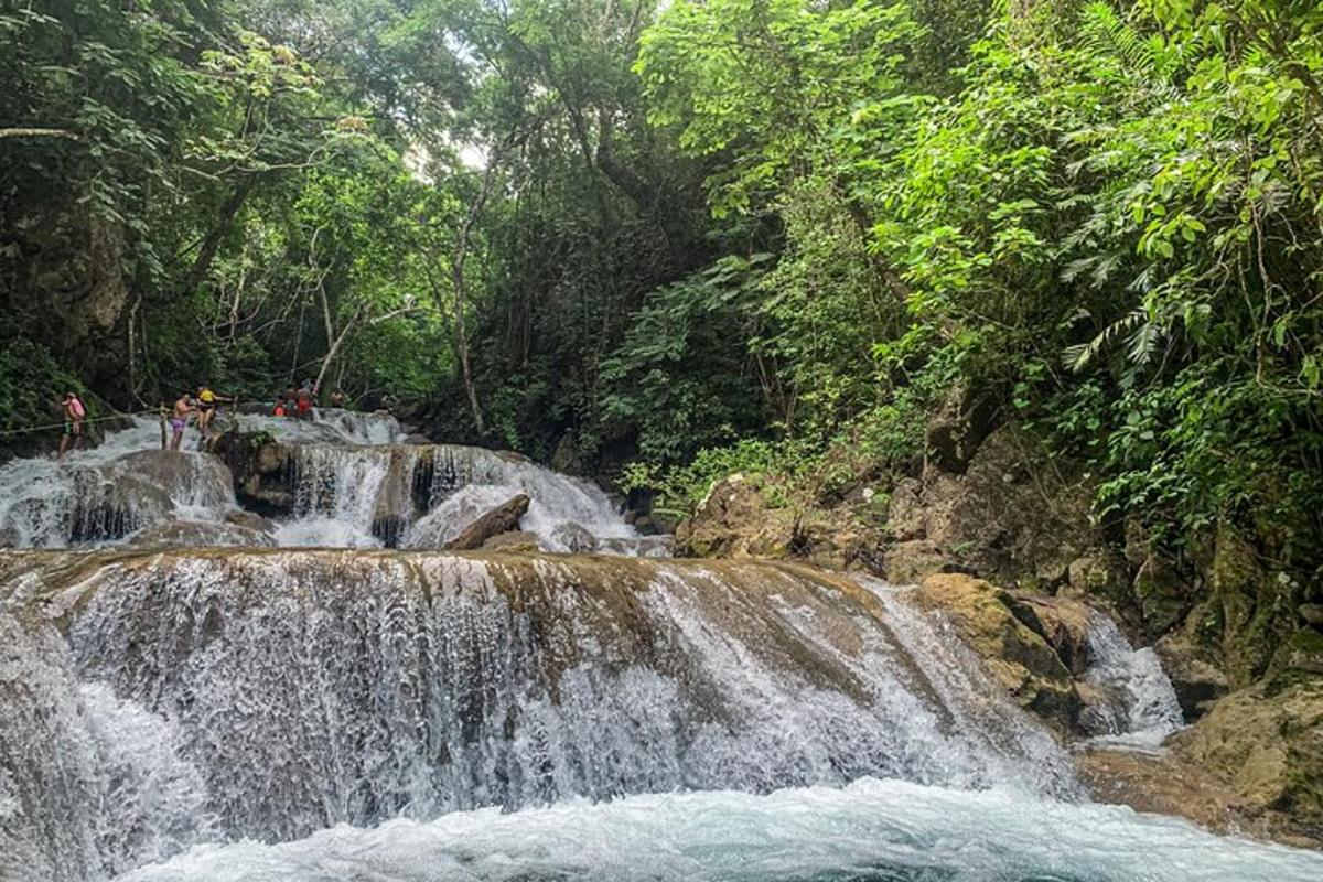 un gruppo di persone in piedi su una cascata in una foresta