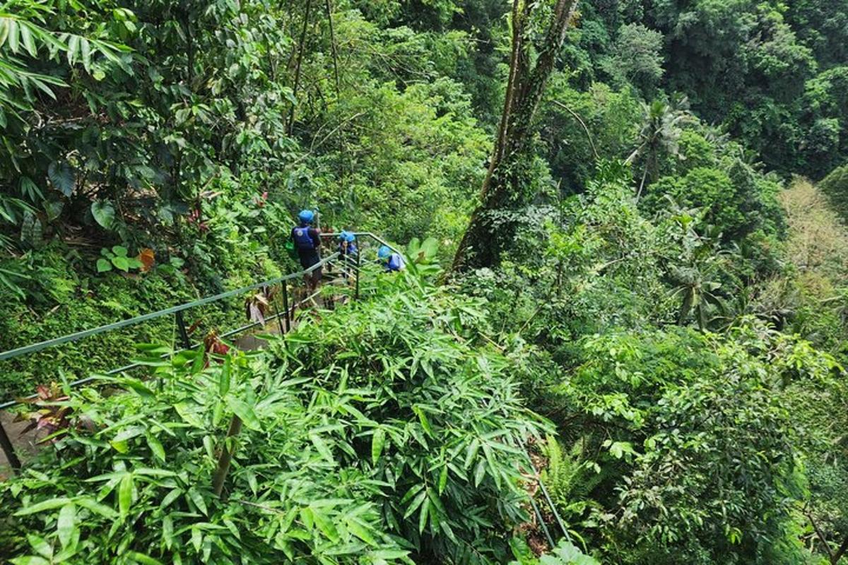 seseorang di jembatan gantung di hutan