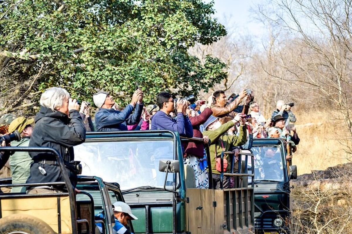a group of people riding on the back of a truck