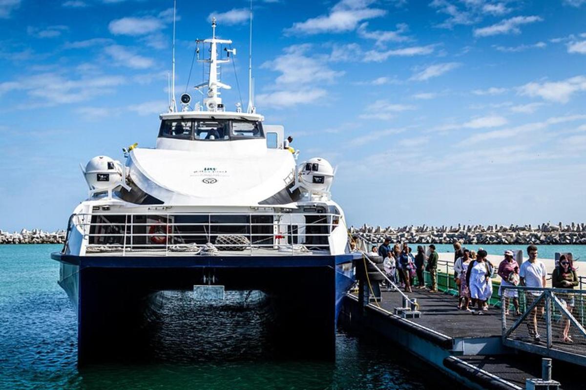 Un gran crucero atracado en un muelle