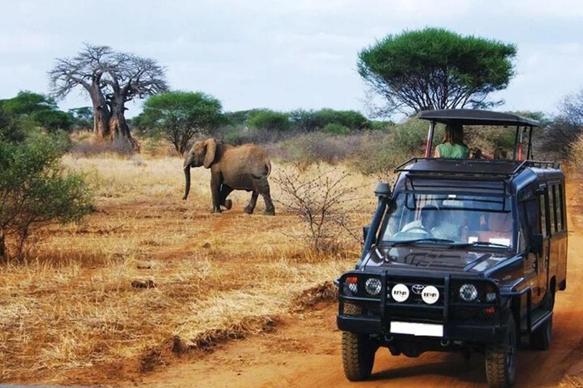 una jeep con delle persone a bordo che passa accanto a un elefante