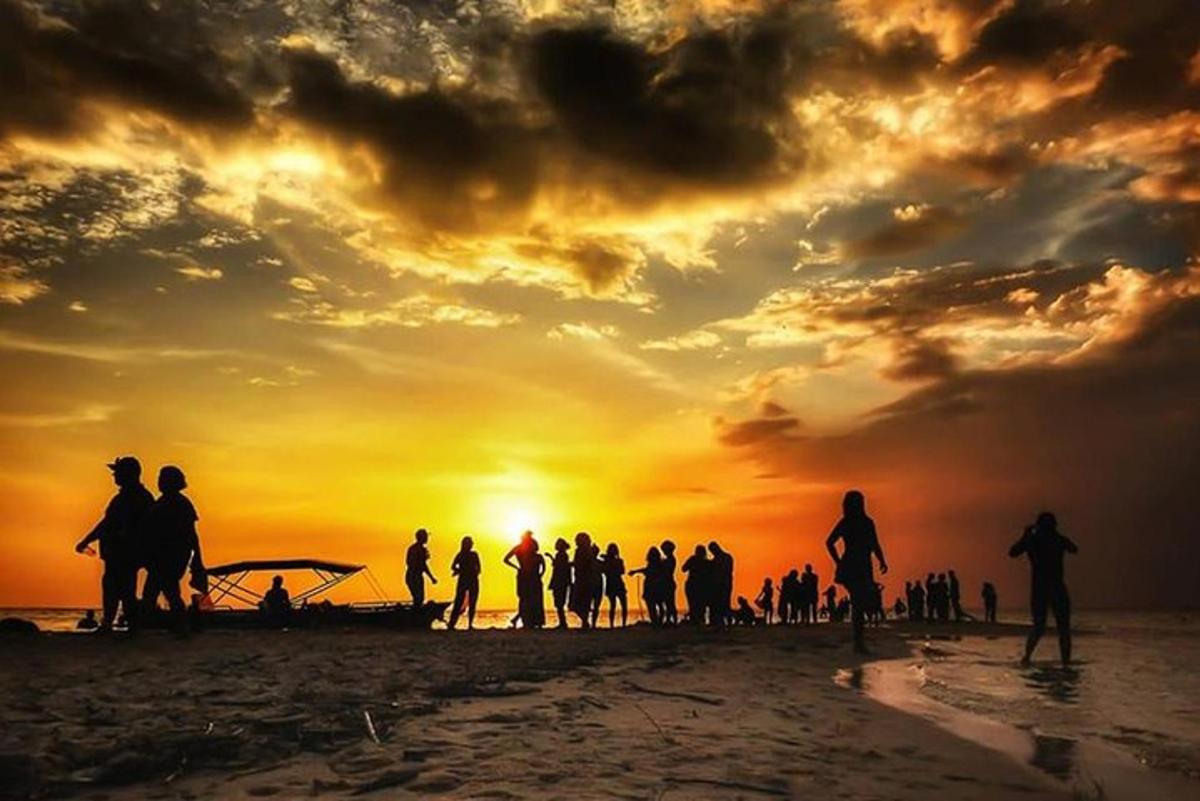 a group of people standing on a beach at sunset