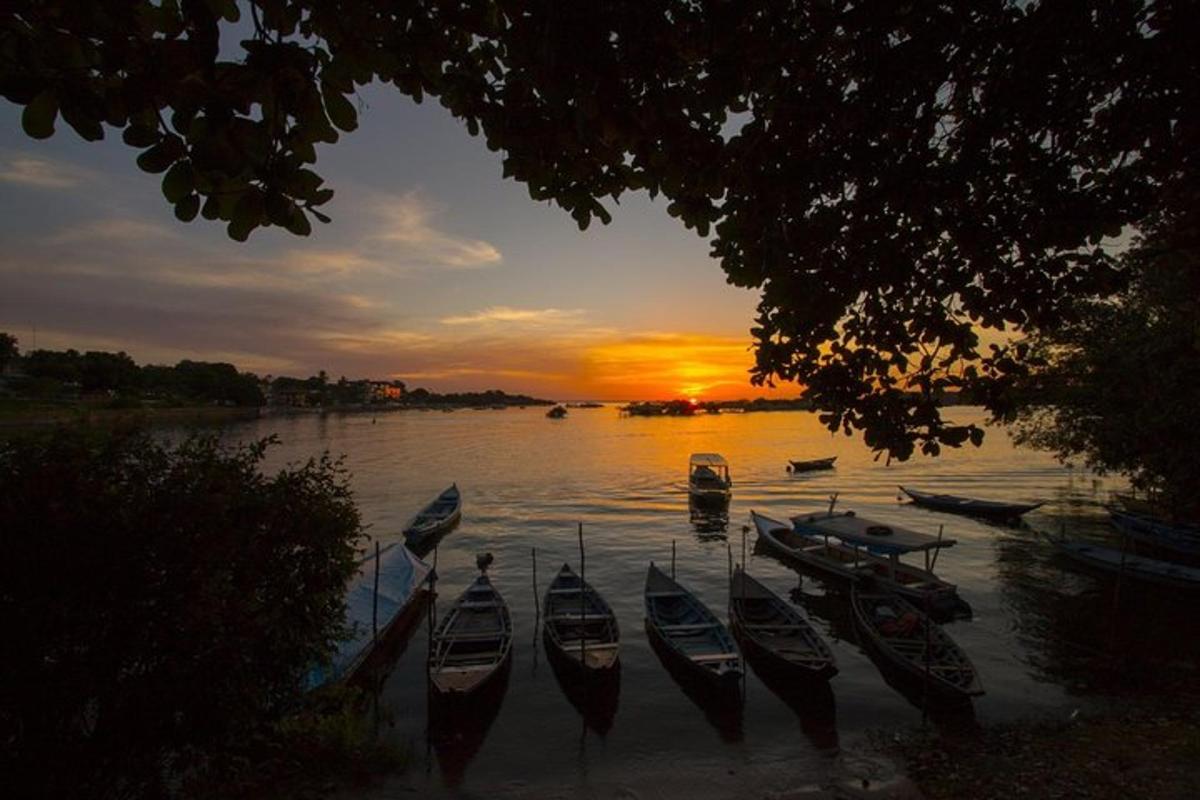 a group of boats sitting in the water at sunset