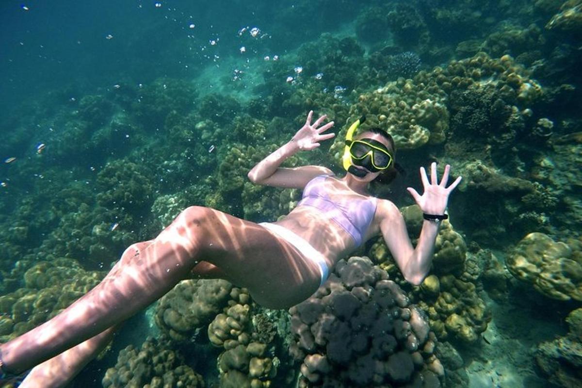 una dona amb banyador i ulleres nedant a l'oceà