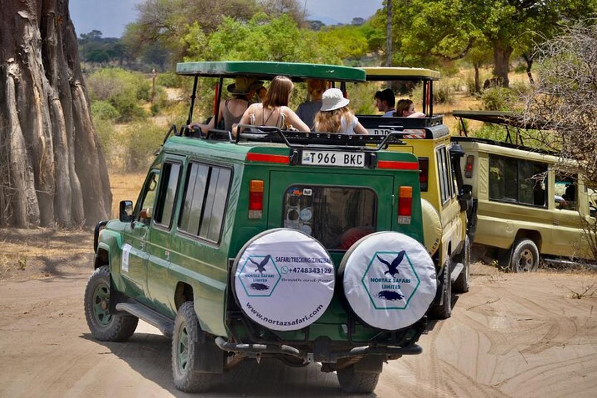 un grup de oameni care călătoresc într-un jeep verde