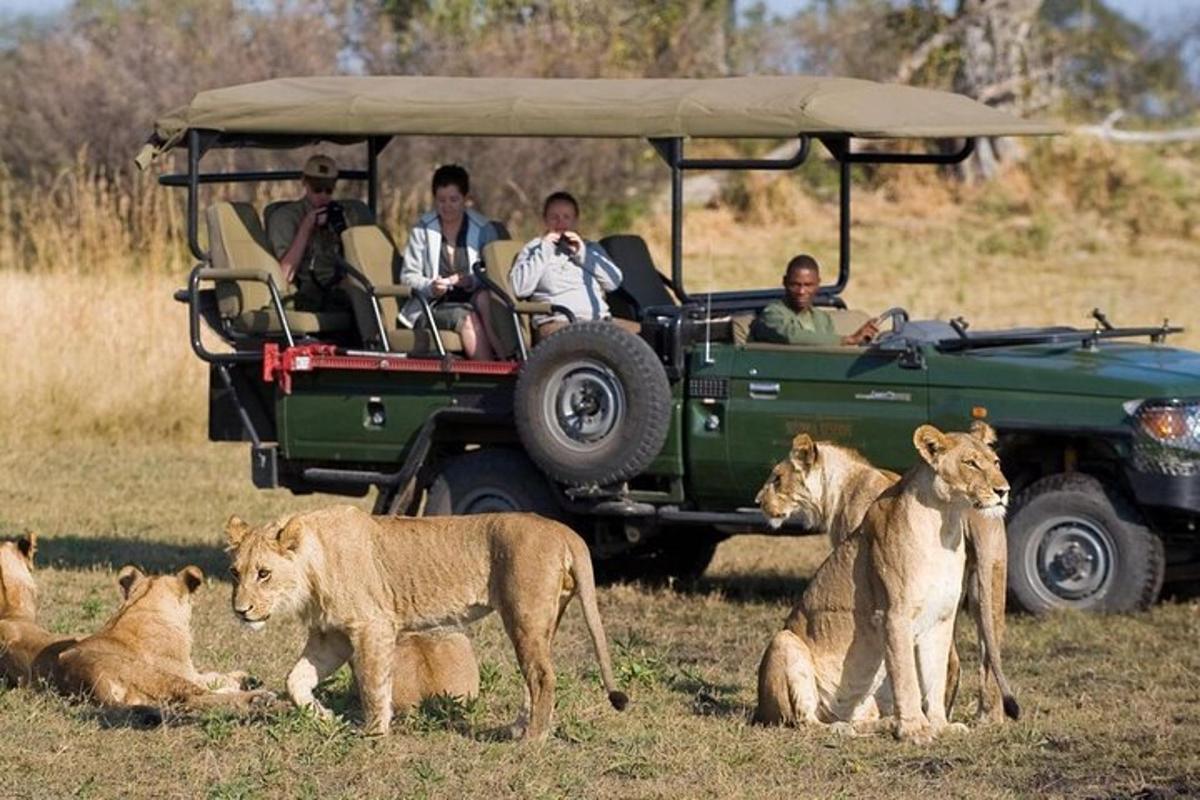 un grup de oameni într-un jeep verde cu lei