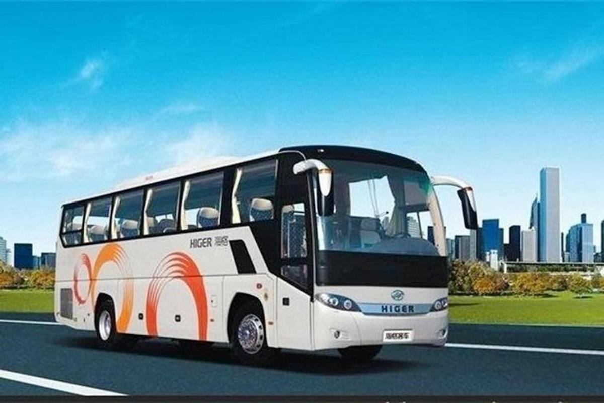 bílý autobus jedoucí po ulici s městem