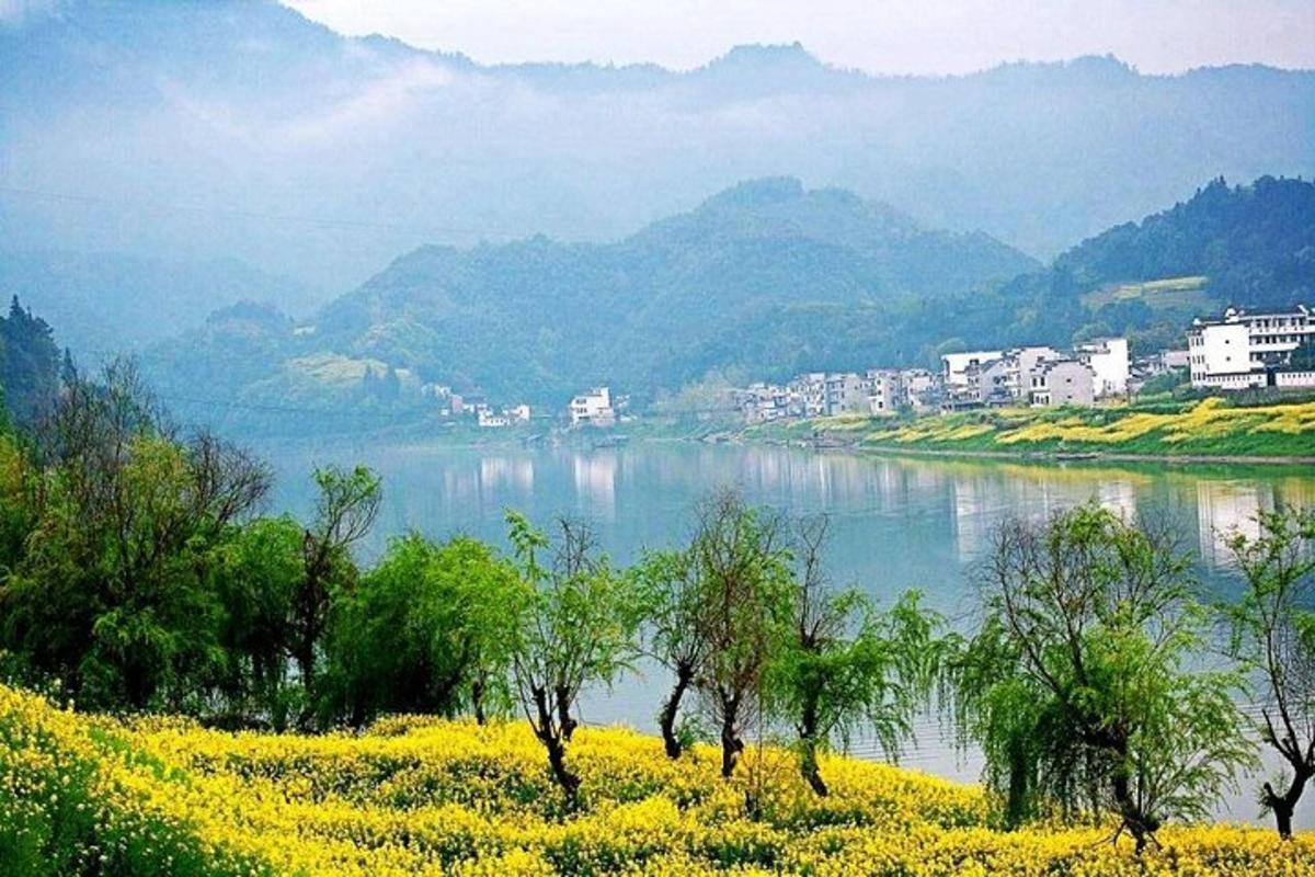 una vista di un fiume con alberi e fiori gialli