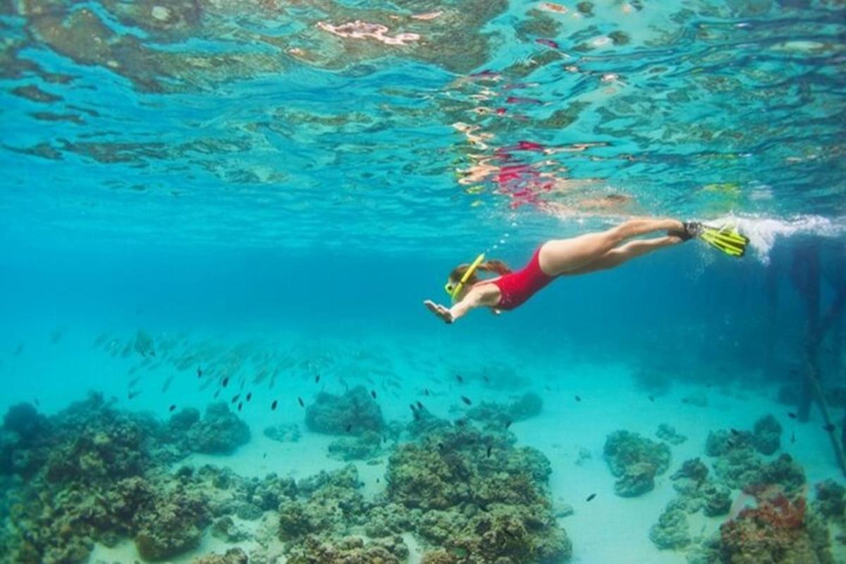 a woman swimming in the water near a reef