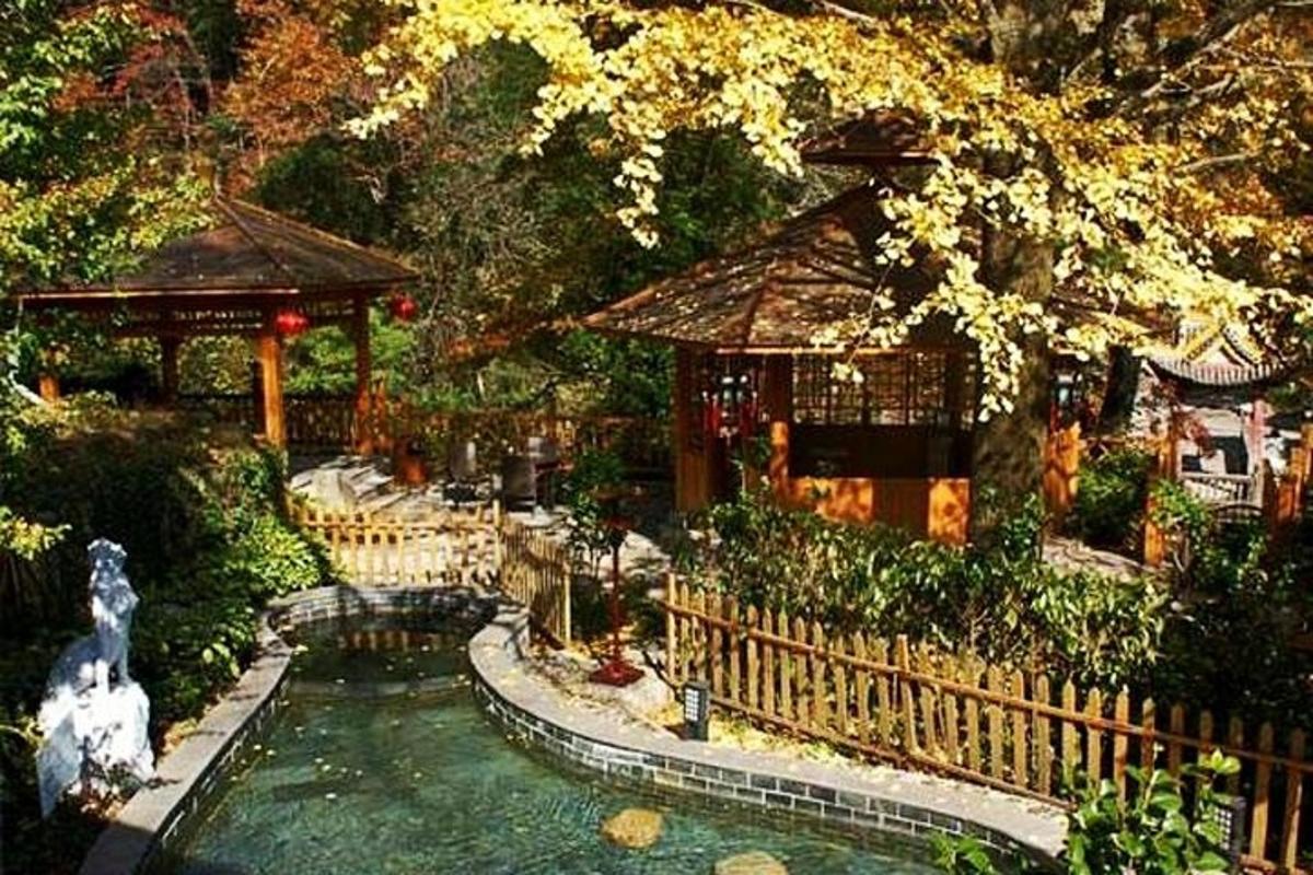 un jardí amb un estany i un mirador