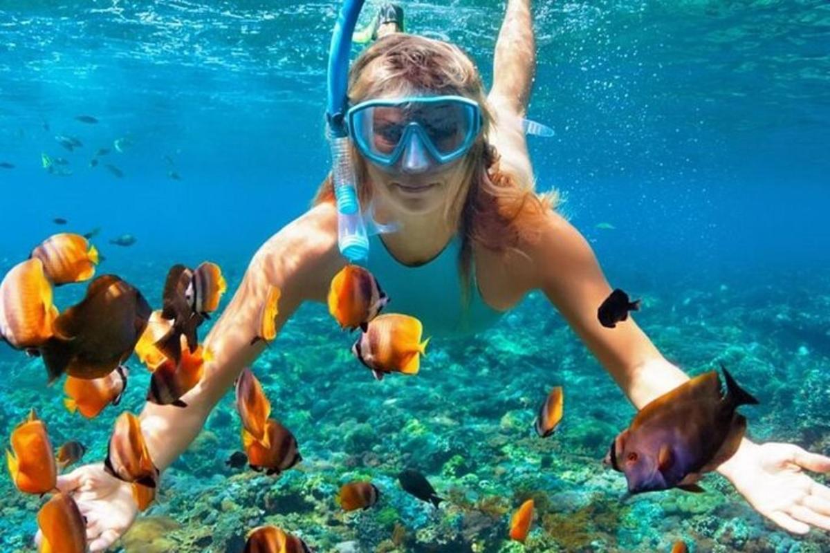 a woman in the water with a snorkel and fish