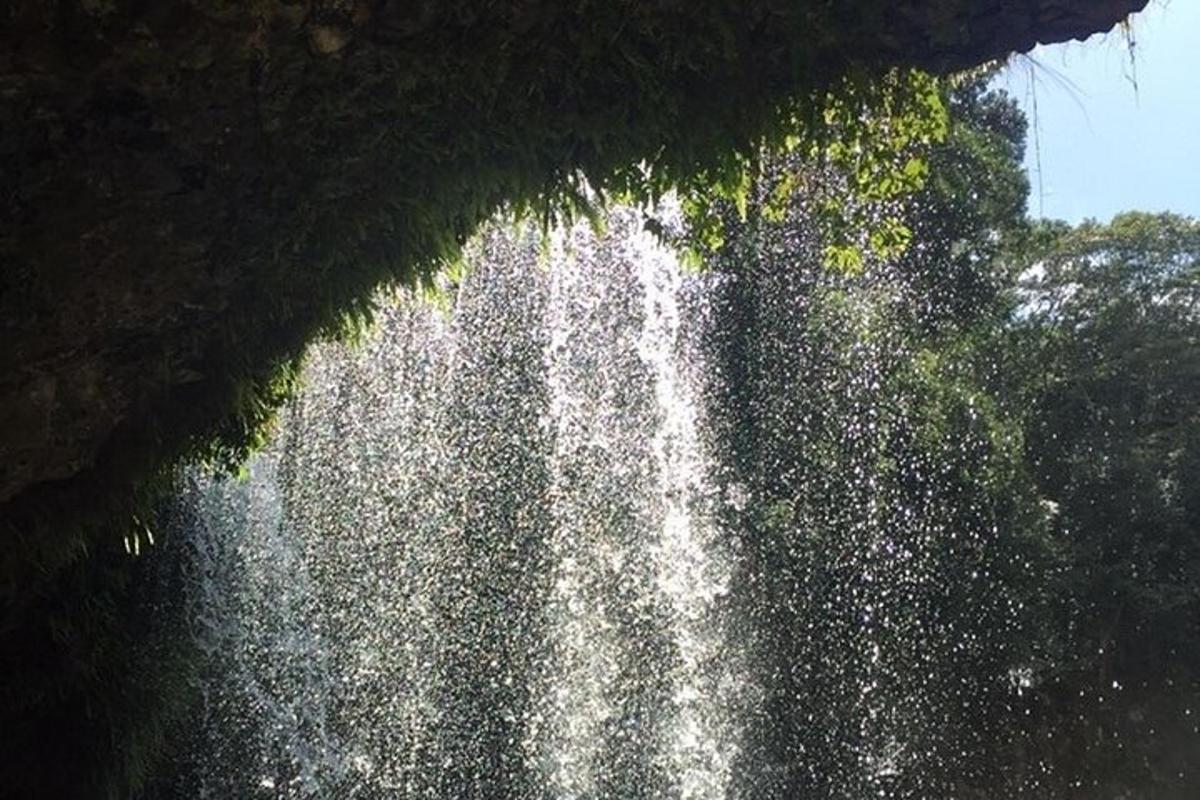a waterfall in front of a group of trees