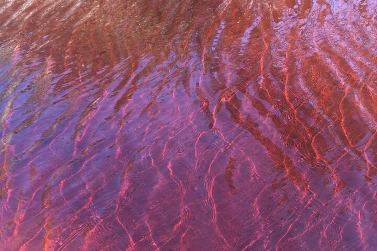 a close up of water with ripples in it