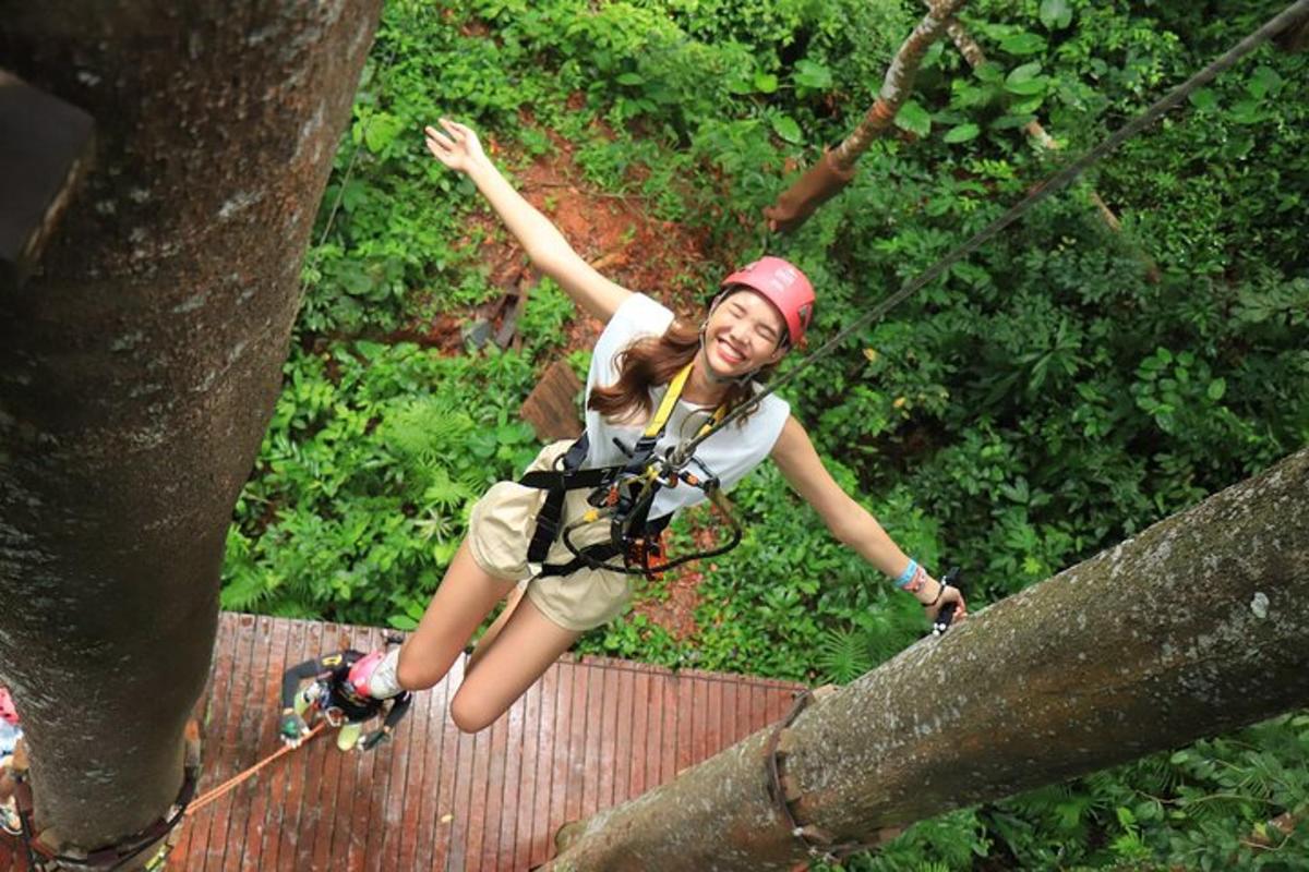 a girl on a zip line in a tree