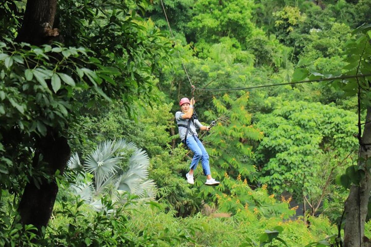 a person on a zip line in the jungle