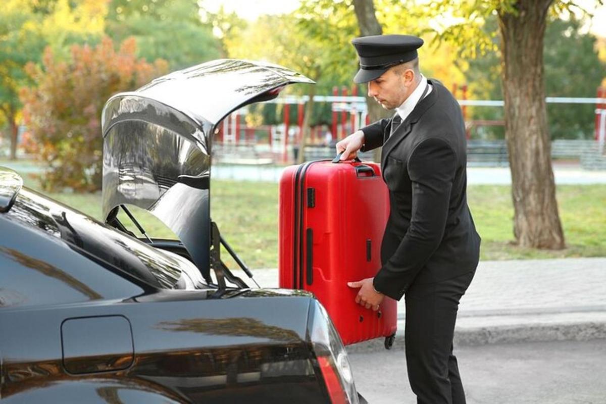 Un hombre de traje con una maleta al lado de un coche.