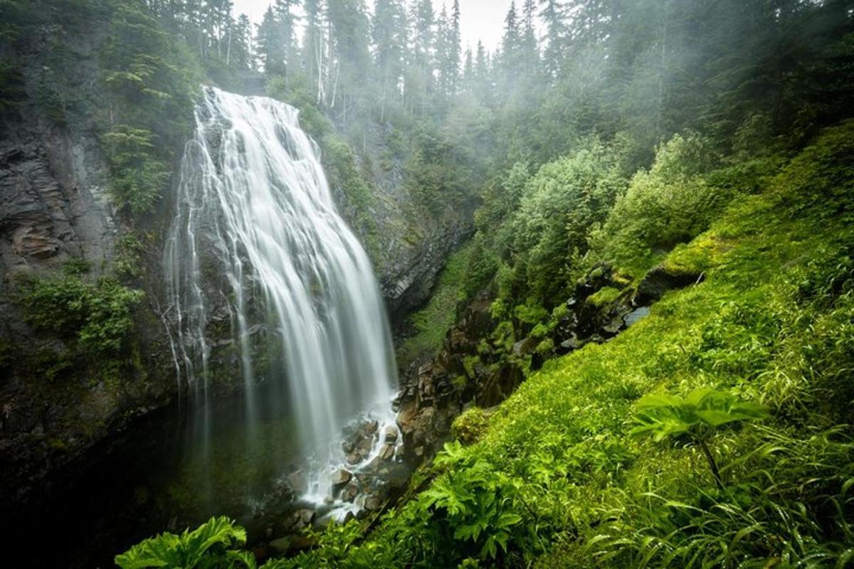 una cascata in mezzo a un fiume con alberi