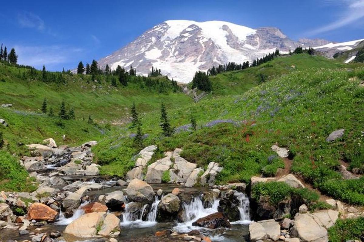 una montagna con un ruscello d'acqua in un campo