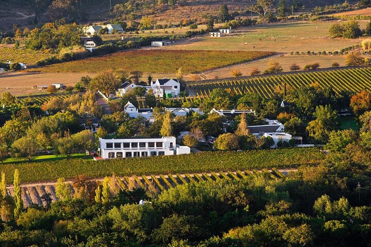 Una vista aérea de un viñedo y un edificio blanco en un campo.