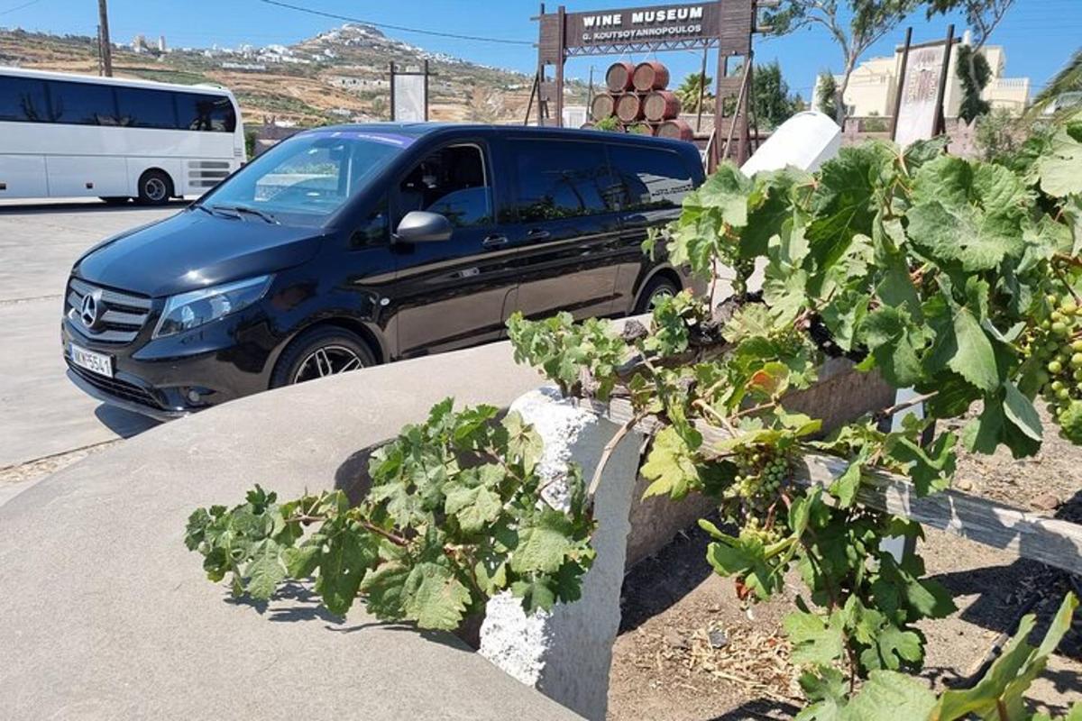 egy kék terepjáró parkolt egy növényekkel teli parkolóban