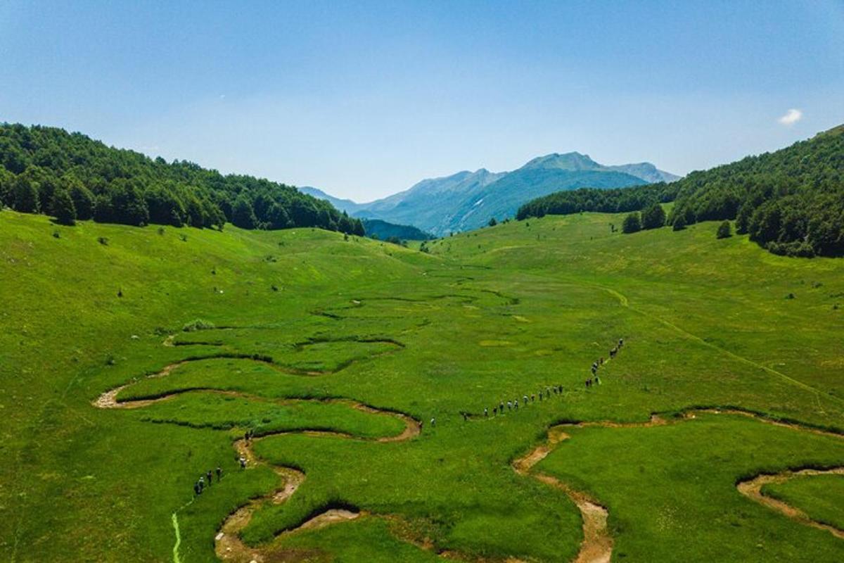 Letecký pohled na travnaté pole s klikatými cestami