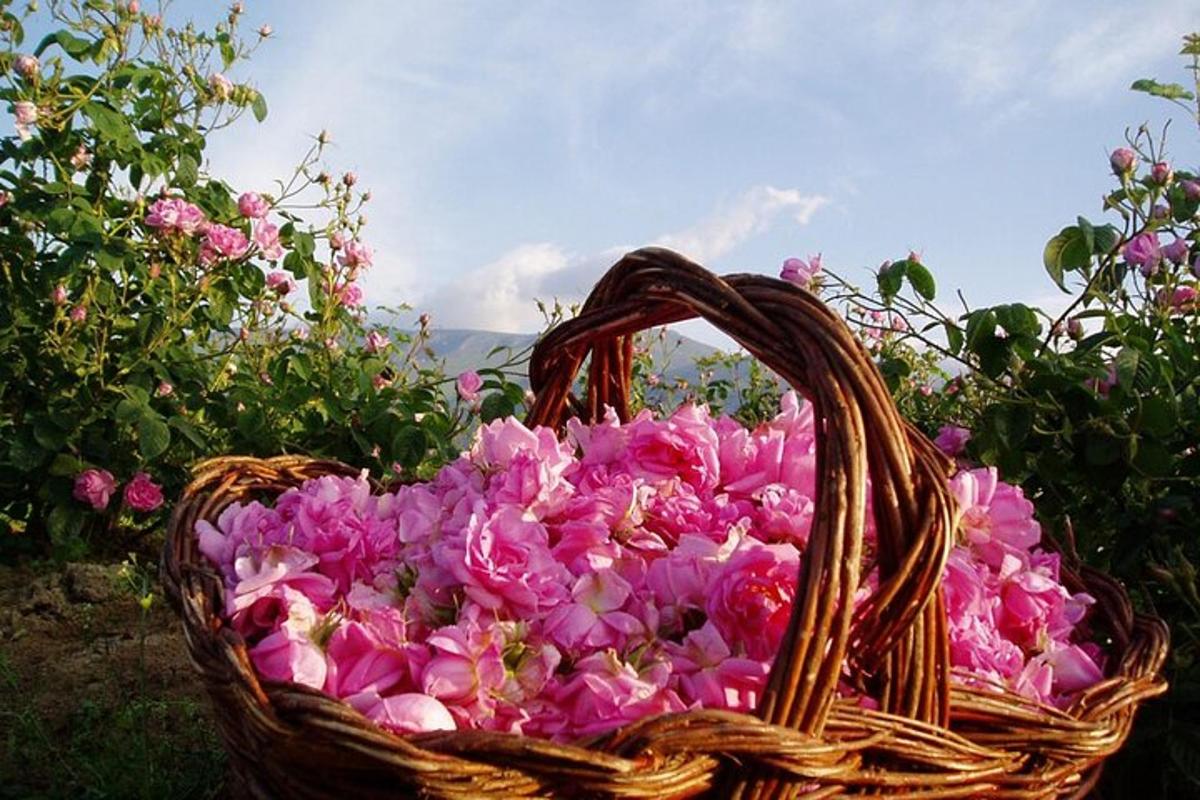 un cistell ple de flors roses en un jardí
