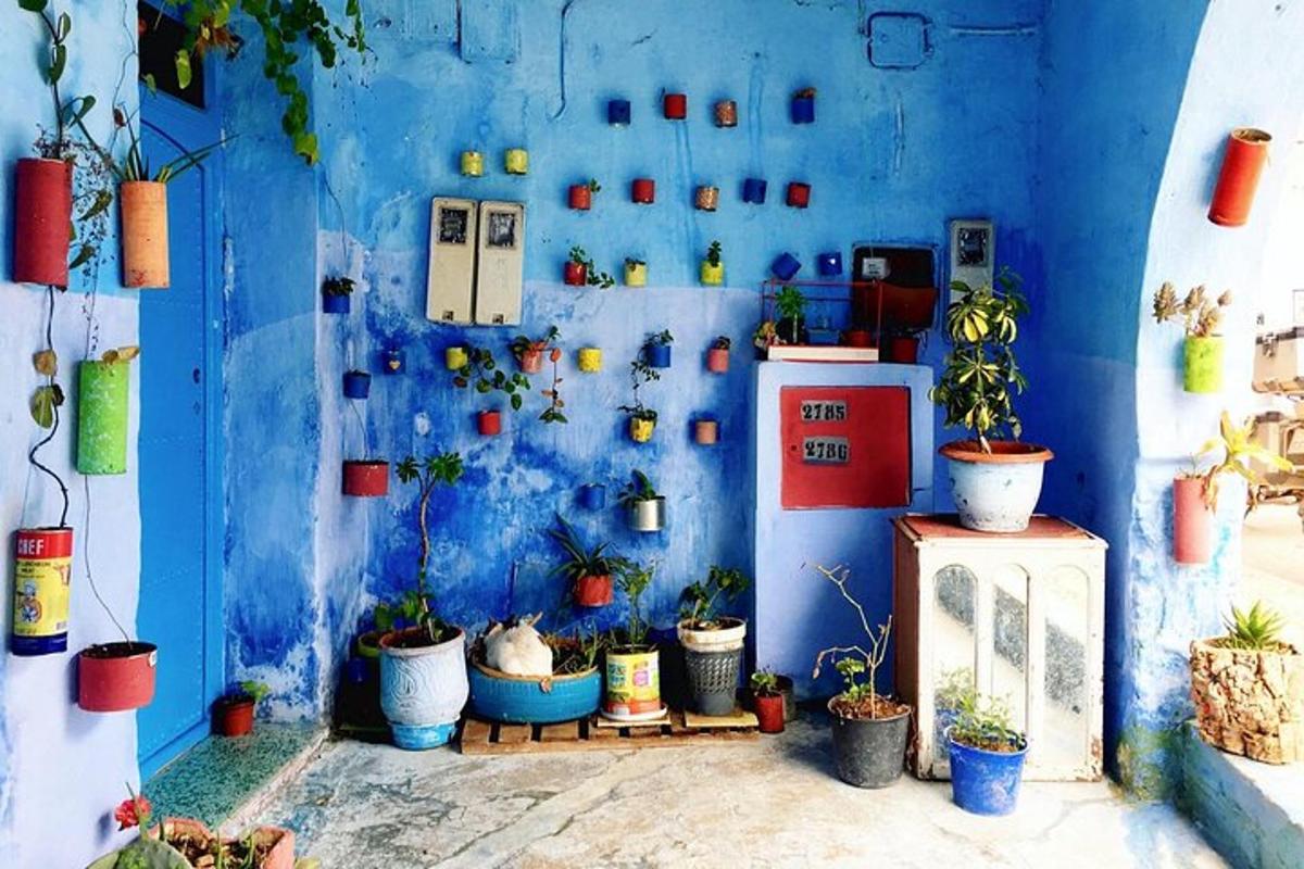 uma parede azul com um monte de plantas em vasos