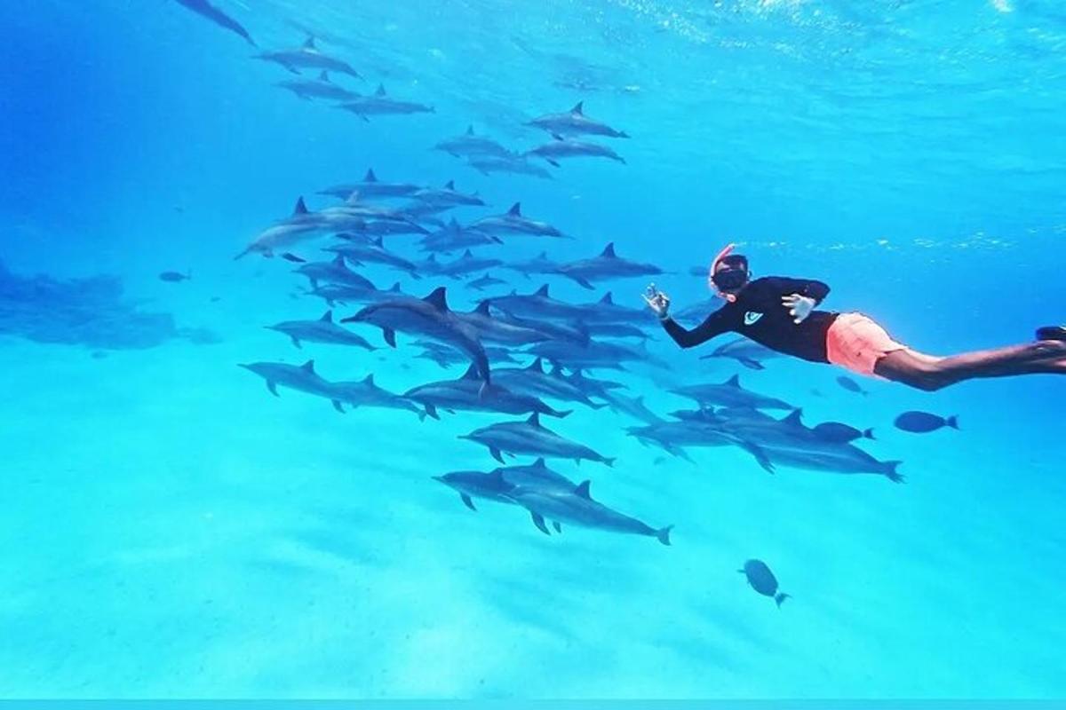 a man swimming in the ocean with a herd of sharks