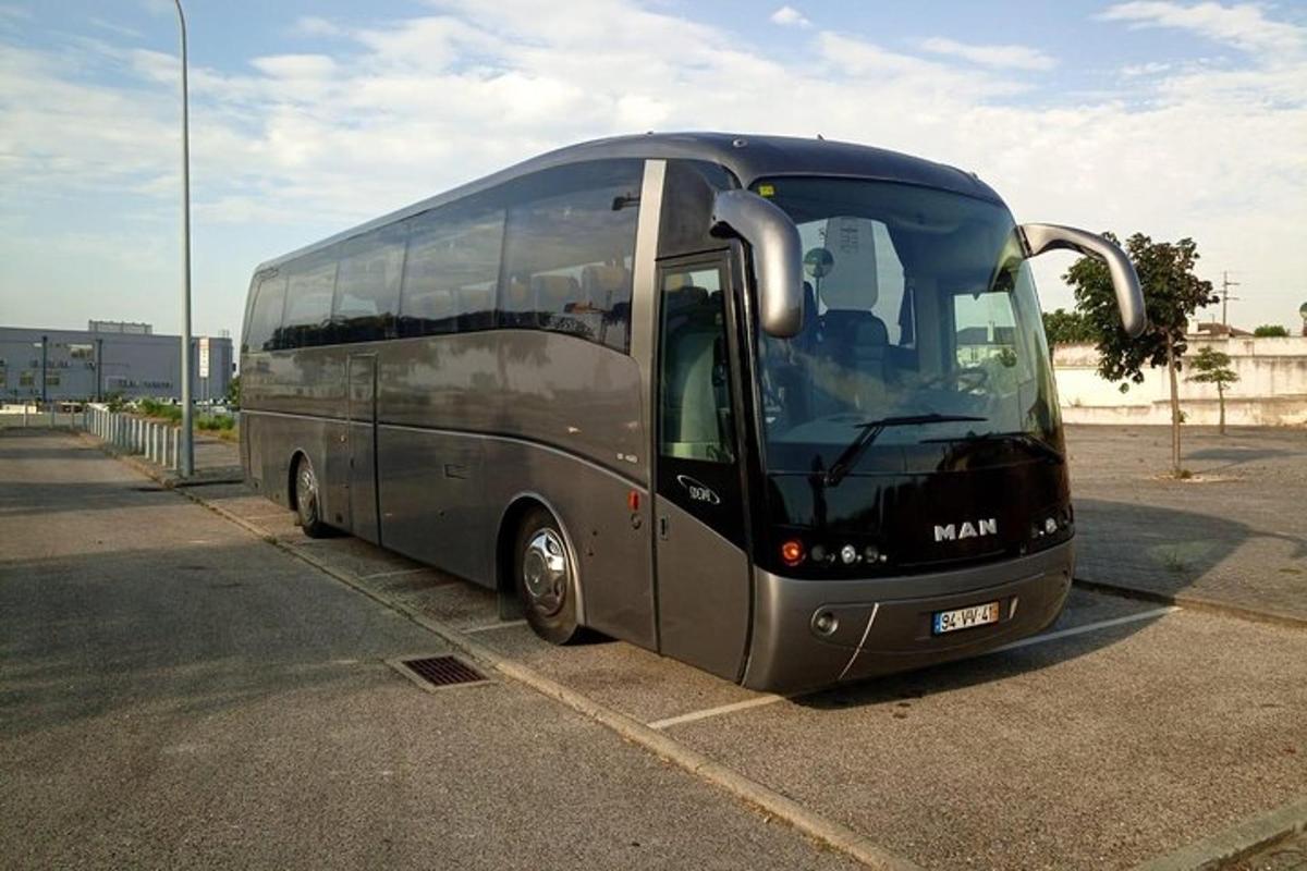 suur must buss pargitud parklasse