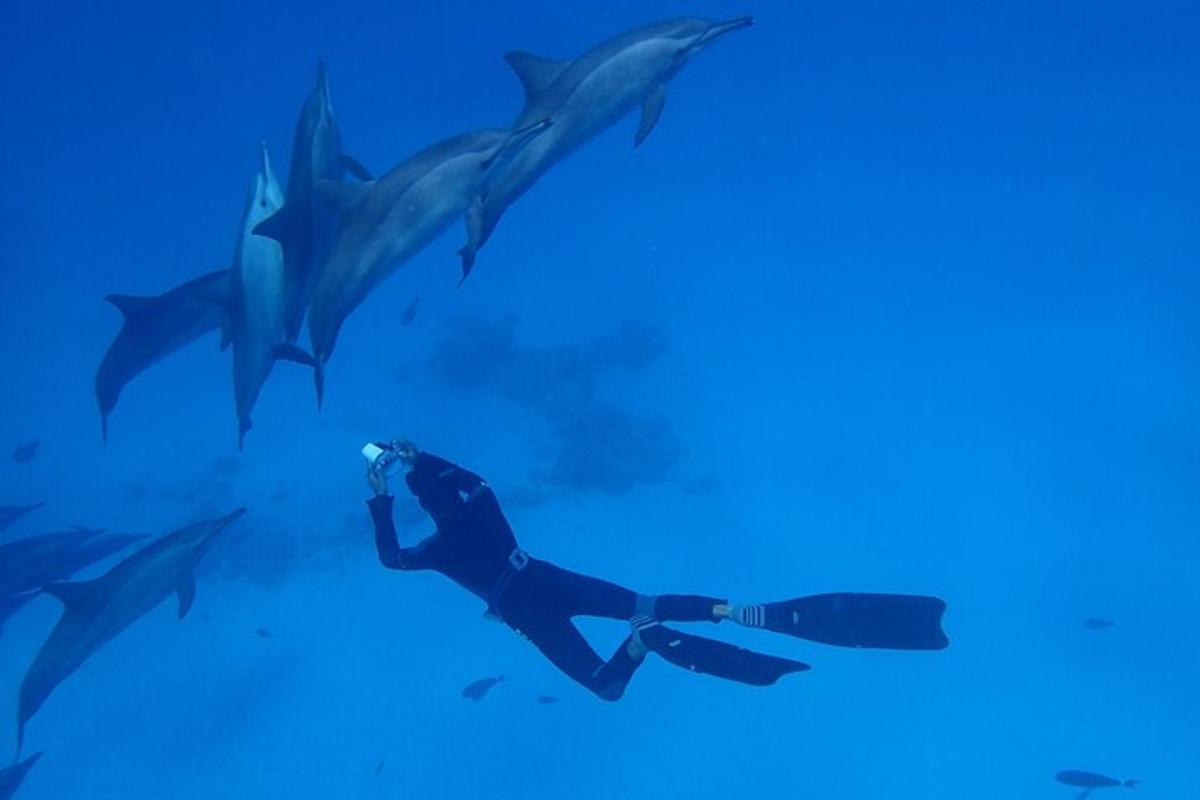 a man in a suit swimming in front of sharks