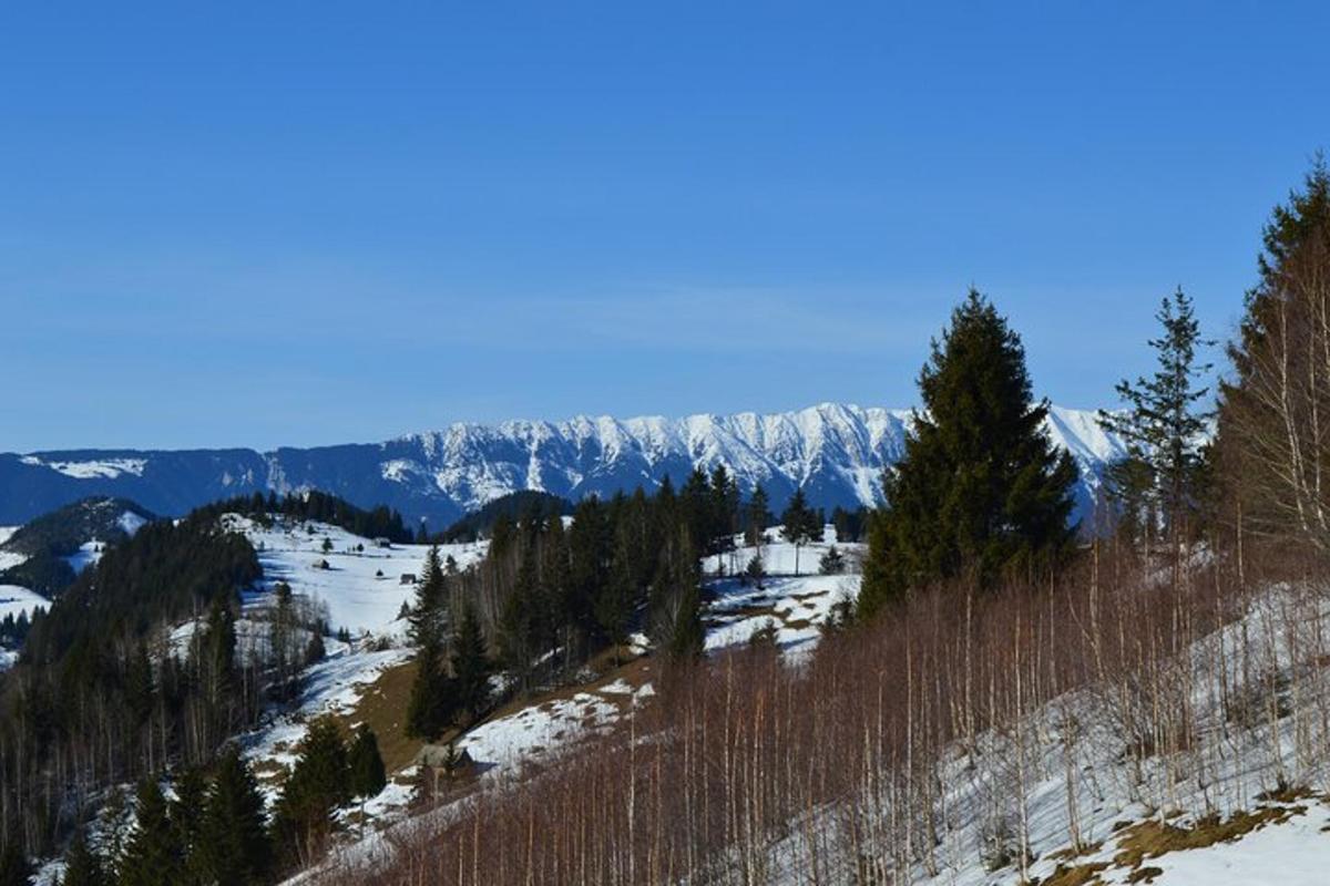a snowy mountain with trees and mountains in the background