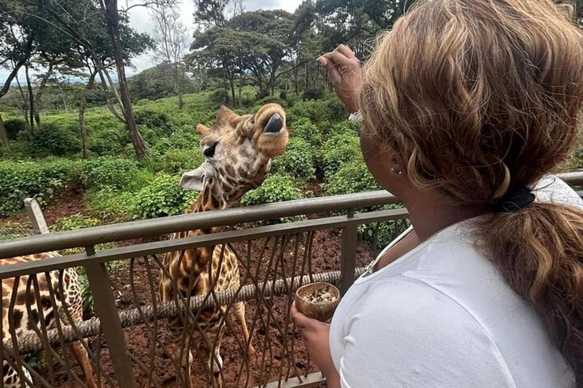una donna sta guardando una giraffa allo zoo