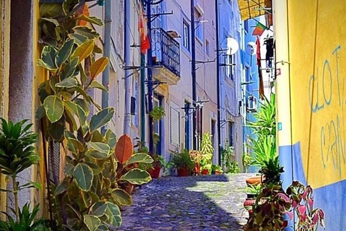 Una pintura de un callejón con plantas y edificios.