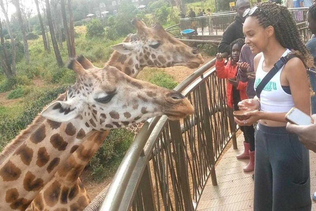 una donna che dà da mangiare a due giraffe in uno zoo