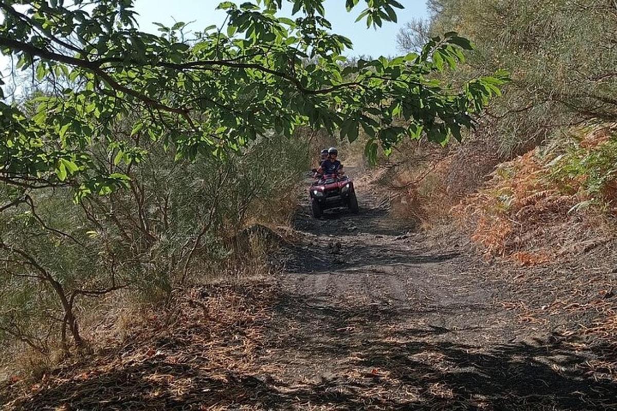 a person riding a quad bike down a dirt road