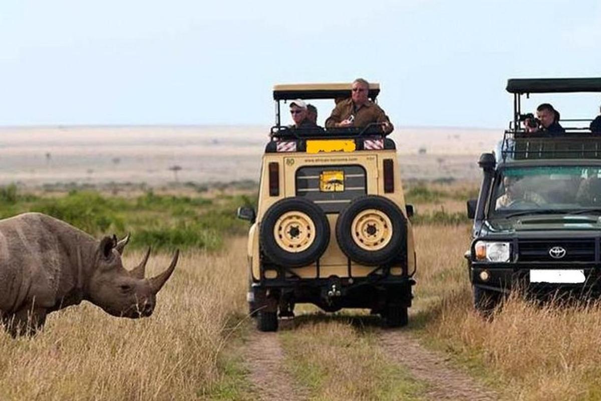 een groep mensen in een safarivoertuig die een neushoorn observeert