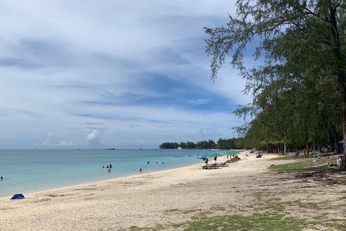 人们在水中游泳的海滩
