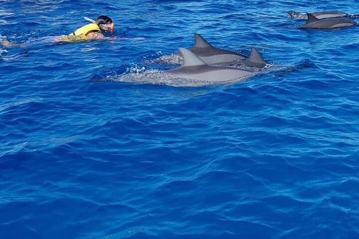 Un hombre nadando en el agua con tres delfines.