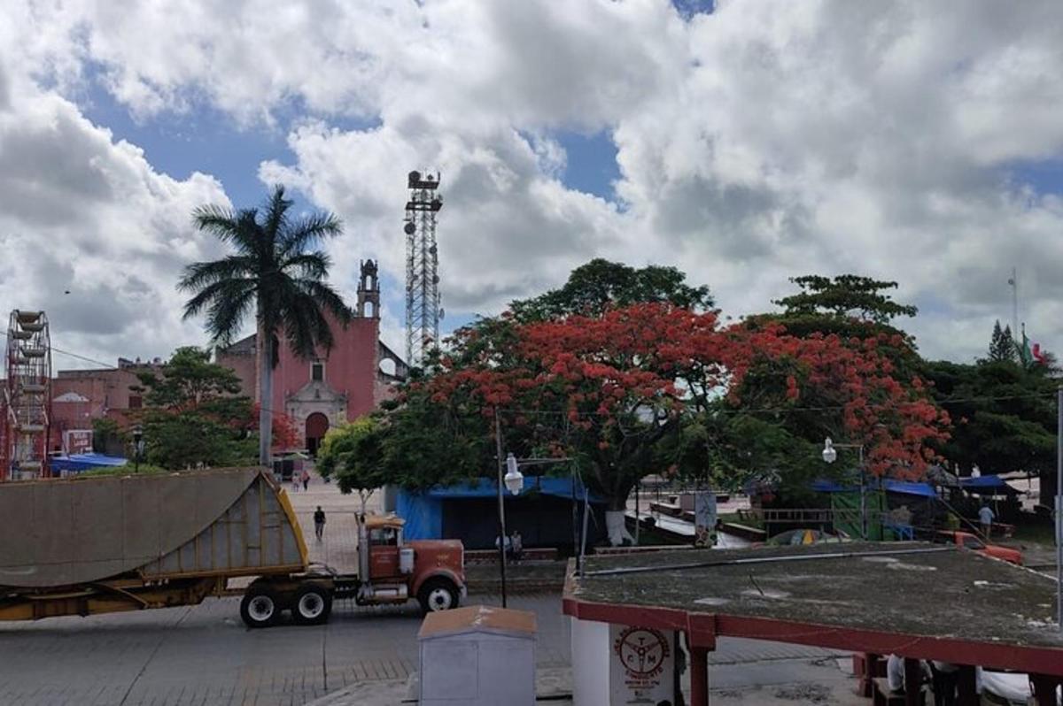 a truck parked next to a tree with red flowers