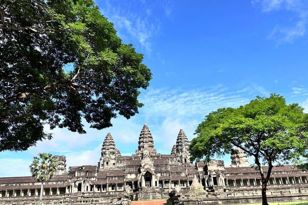 một tòa nhà có một cái cây ở phía trước
