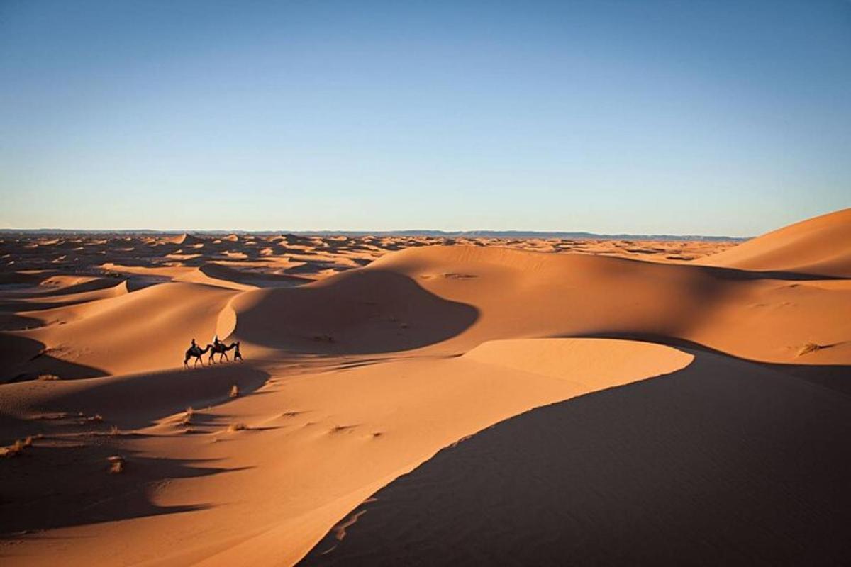 Un grupo de personas montando camellos por el desierto.